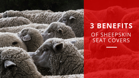 3benefitsofsheepskinseatcovers.png